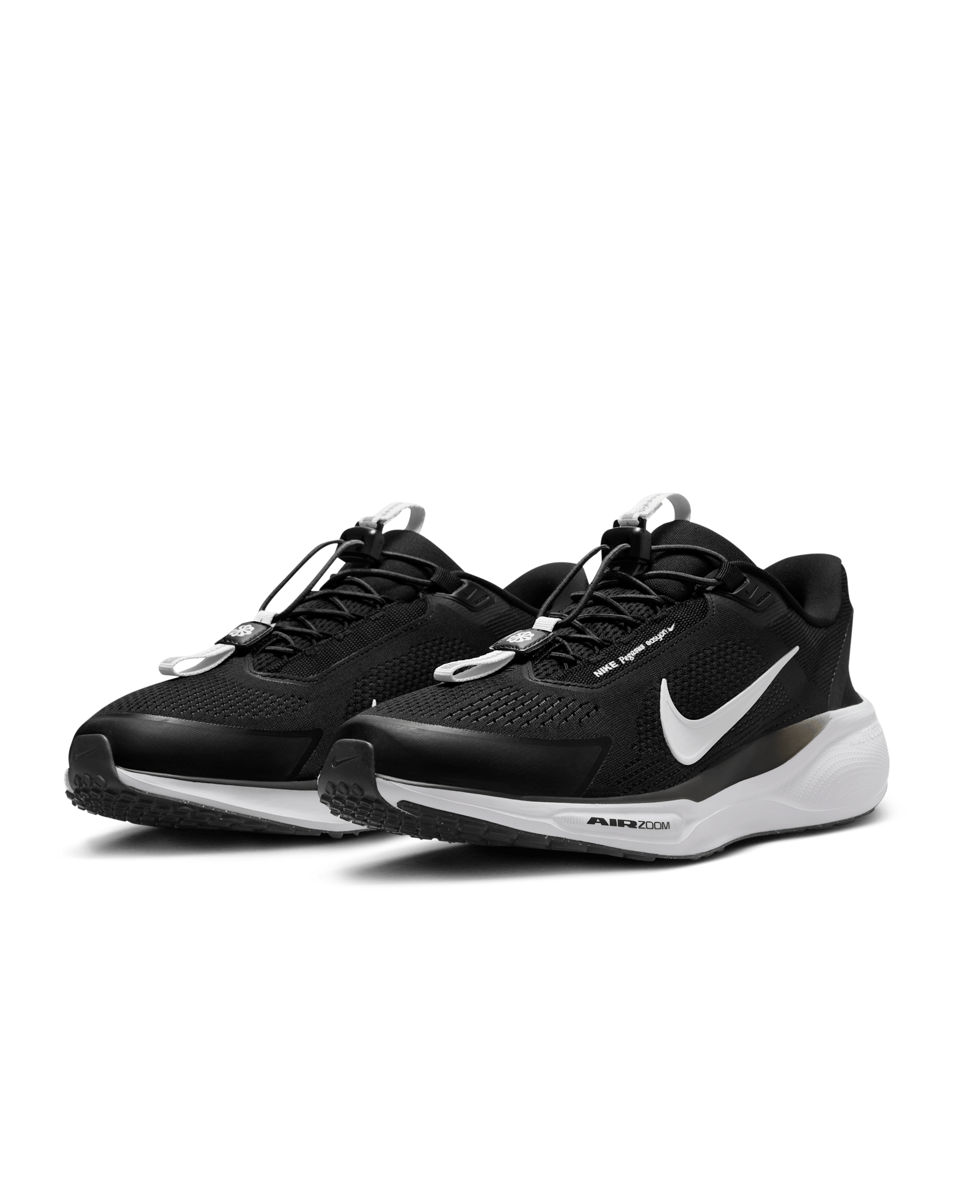 Nike Pegasus Easyon – Titans Kicks