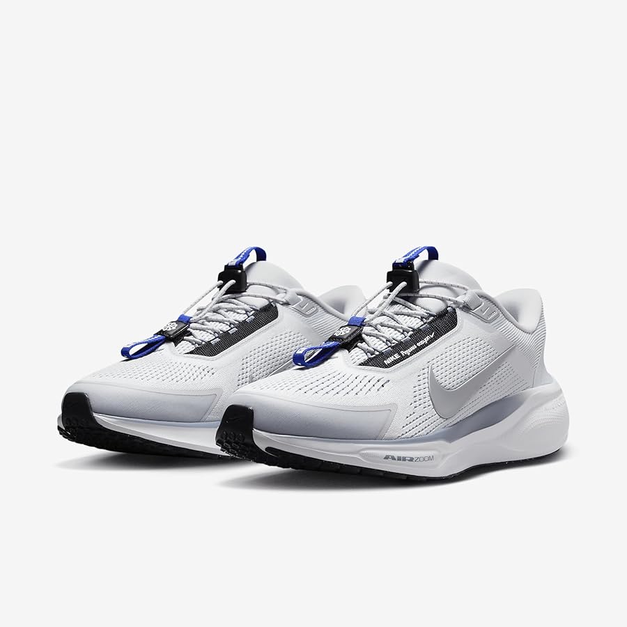 Nike Pegasus Easyon